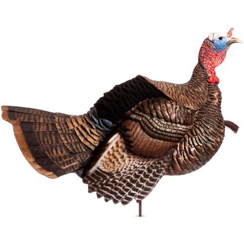 Dave Smith Decoys Posturing Jake Decoy, realistic turkey decoy with detailed feathers, head and body posture for turkey hunting.