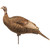 Dave Smith Decoys Upright Hen Decoy, realistic turkey hen decoy for hunting and bird control