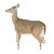 Montana Decoy Whitetail Dreamy Doe Decoy, realistic deer decoy with lifelike appearance and pose for hunting decoys.