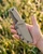 TRACKER-X EDC (Coyote)