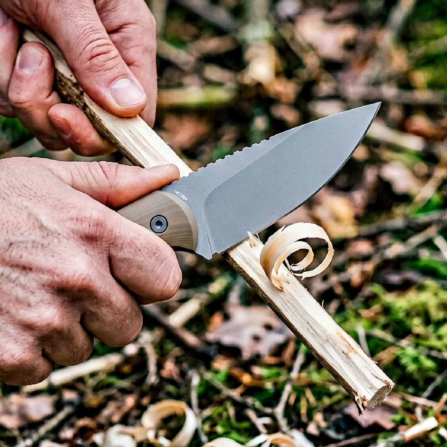 Isoline Desert Gray compact fixed blade, lifestyle shot