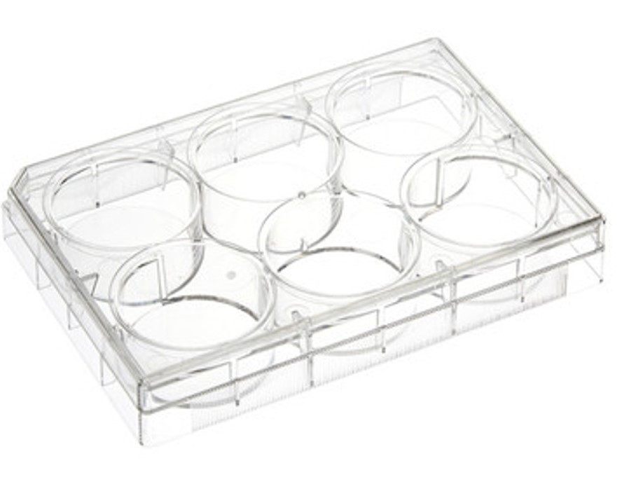 CellPro™ Non-Treated Cell Culture Plates with Lids, Flat Bottom
