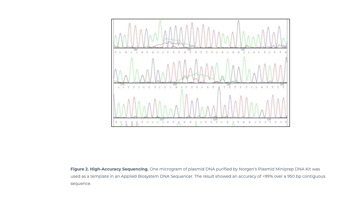 Norgen Biotek™ Plasmid DNA MaxiPrep Spin Column Kit, 20 Preps