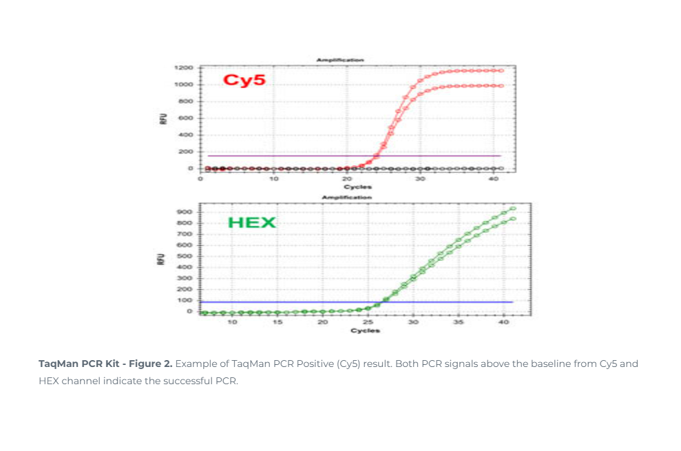 Norgen Biotek™ E. coli O157:H7 TaqMan Probe/Primer and Control Set, 100 ...