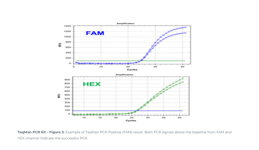 Norgen Biotek™ E. coli O157:H7 TaqMan Probe/Primer and Control Set, 100 ...