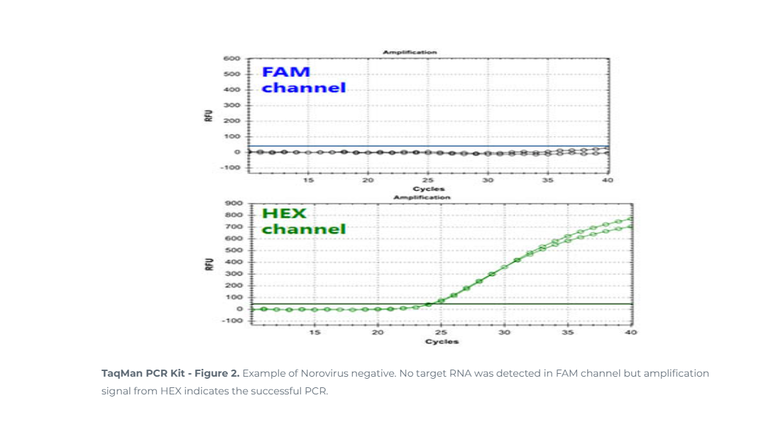 Norgen Biotek™ NoV TaqMan RT-PCR Kit Dx, 24 Reactions