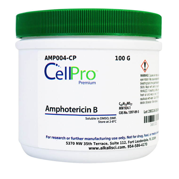Amphotericin B
