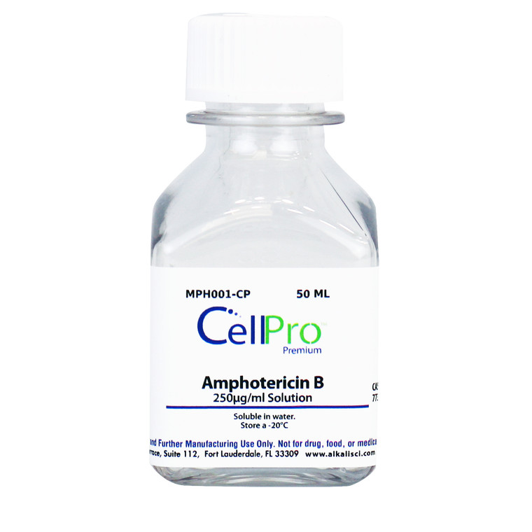 Amphotericin B 250µL Solution, 50 Milliliters
