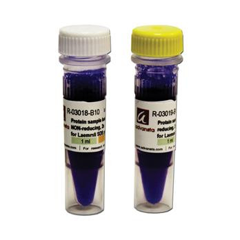 Protein Sample Loading Buffers