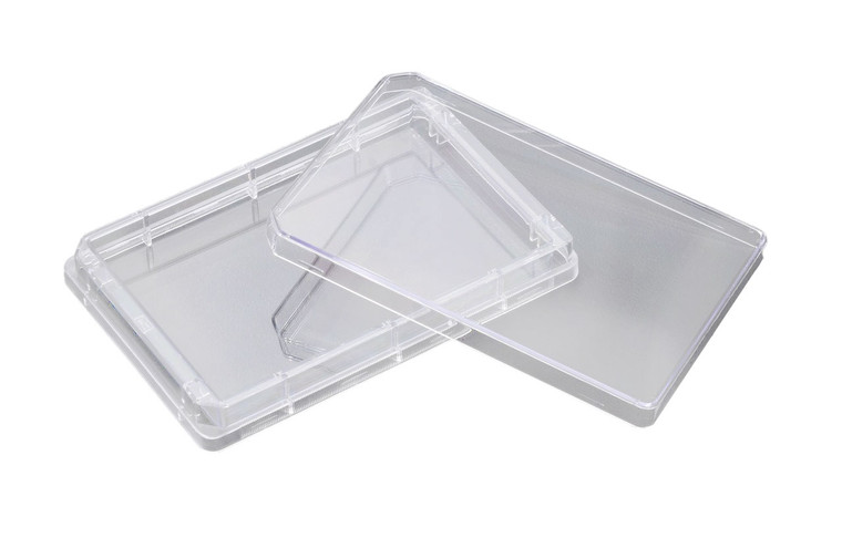 ASI™ Square Cell Culture Dish with Grid, 125 x 125 x 20mm, PS, Sterile, 60/Cs