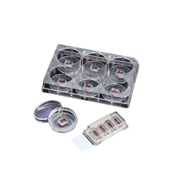ASIScar™ Block 4 Well Cell Culture Slide, Sterile, 24/Pk