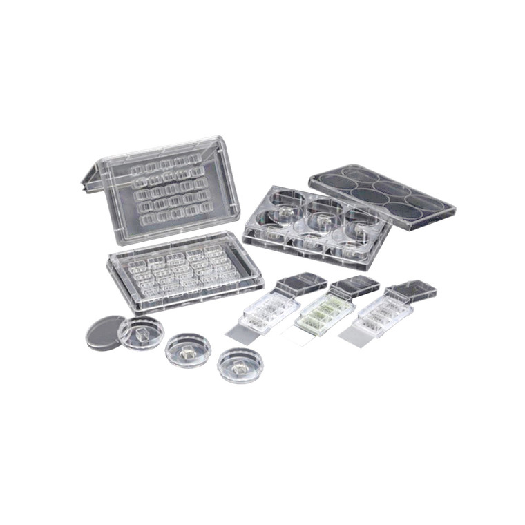 ASIScar™ Block 35mm Cell Culture Dish, PS, Sterile, 30/Pk