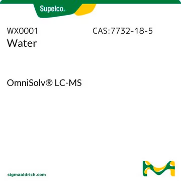 Water, 1 X 1 L (WX0001-6)