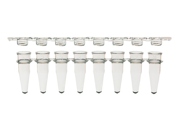 ProCycle™ 0.2mL 8-strip PCR tubes w/ separate flat strip caps 125x8, 1000/PK