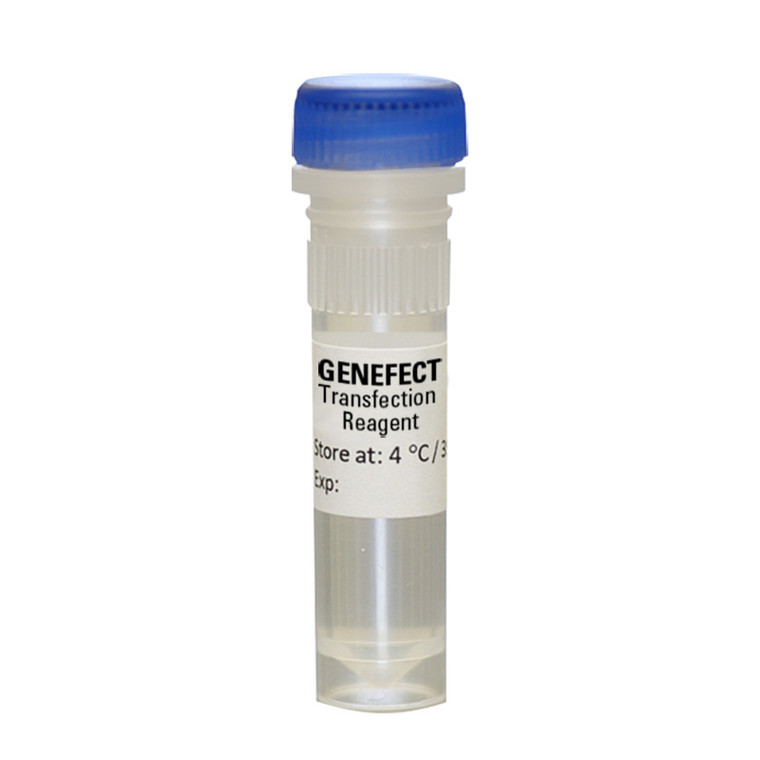 GENEFECT Transfection Reagent