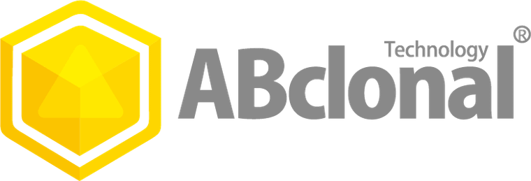 Liraglutide Rabbit mAb, Monoclonal (A26216) | ABclonal Technology™