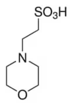 MES solution, 1 X 500 mL (M1317-500ML)