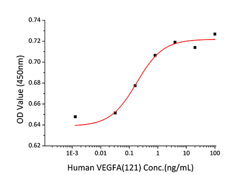 Recombinant Human VEGF-A/VEGF121 Protein (RP01162) | ABclonal Technology™