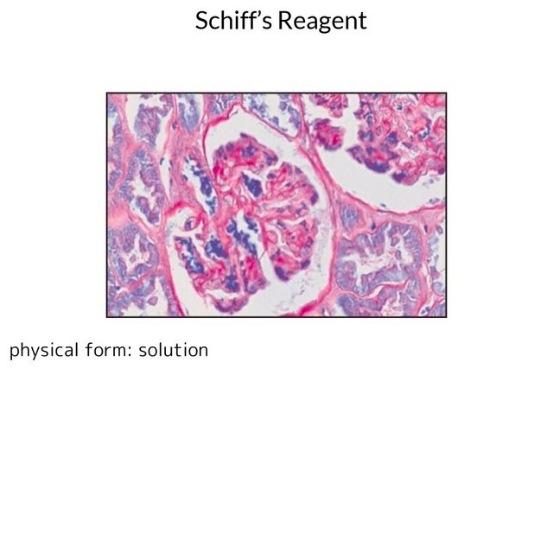 Schiff’s Reagent, 1 X 500 mL (3952016-500ML)