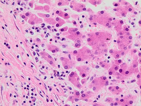 Eosin Y Solution, Alcoholic, 1 X 500 mL (HT110116-500ML)