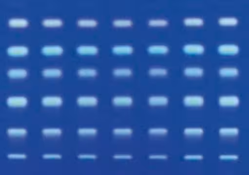 TLC plates, Silica gel 60 RP-18 F₂₅₄s, 1 X 50 units (1156830001)