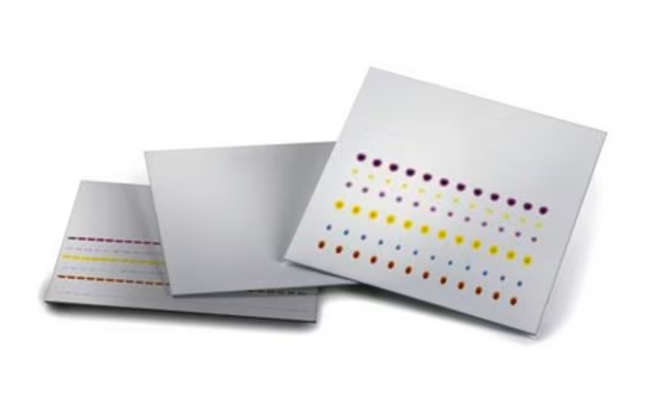 TLC plates, Aluminium oxide 60 F₂₅₄, basic, 25 units (1057130001)