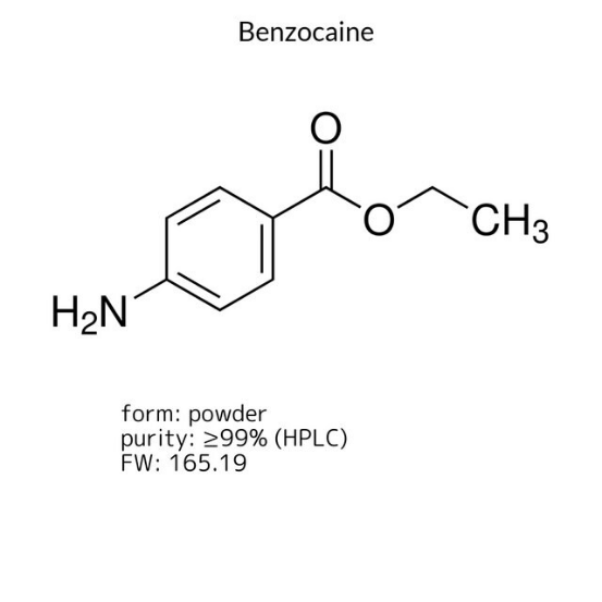 Benzocaine, 1 X 500 g (E1501-500G)