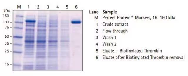 S-protein Agarose, 1 X 10 mL (69704-4)