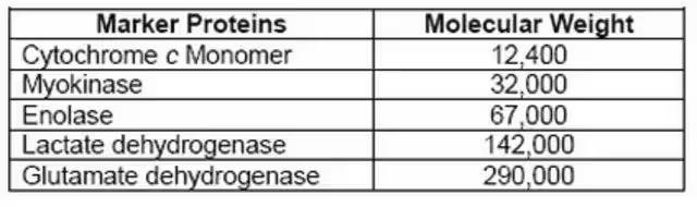 Protein Molecular Weight Markers, HPLC, 5 tests (539053-5T)