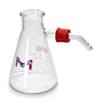 Millipore Vacuum Filtering Side-Arm Flask, 1 ea (XX1012506)