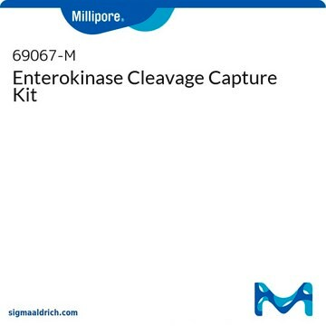 Enterokinase Cleavage Capture Kit, 1 kit (69067-3)