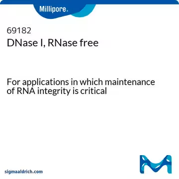 DNase I, RNase free, 1 X 1000 U (69182-3)