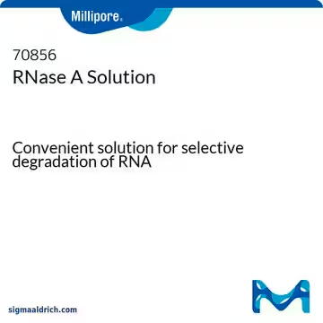 RNase A Solution, 1 X 1 mL (70856-3)