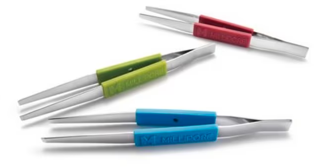 Filter forceps, blunt end, stainless steel, 3 ea (XX6200006P)