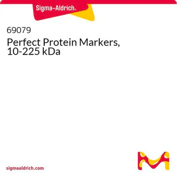 Perfect Protein Markers, 10-225 kDa, 1 X 100 assays (69079-3)