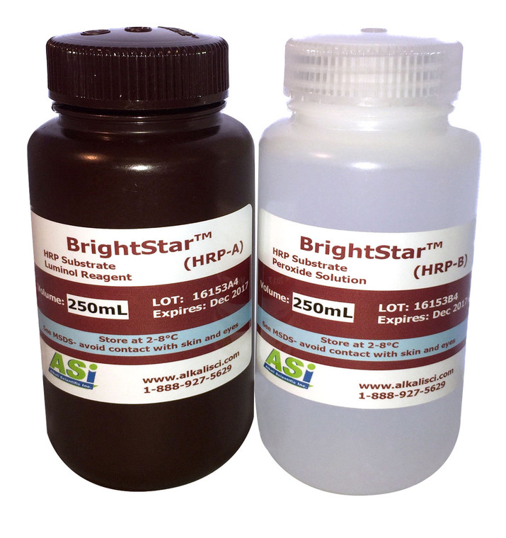 BrightStar AP, Alkaline Phosphatase Substrate, 1 x 100mL