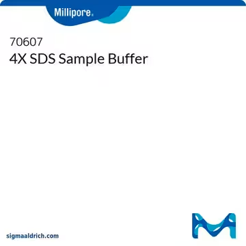 4X SDS Sample Buffer, 1 X 2 mL (70607-3)