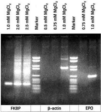 PCR Buffer Without MgCl₂, 10x concentrated, 3 X 1 mL (11699105001)