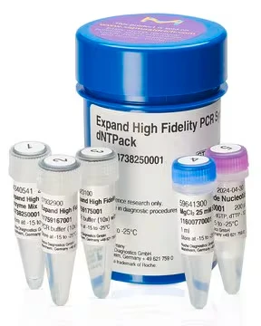 Expand™ High Fidelity PCR System, dNTPack, 1 X 200 reactions (4738268001)