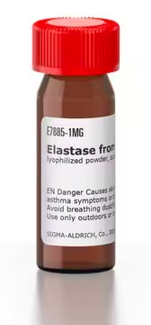 Elastase from porcine pancreas, 1 X 5 mg (E7885-5MG)