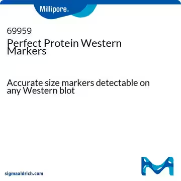 Perfect Protein Western Markers, 1 X 25 assays (69959-3)