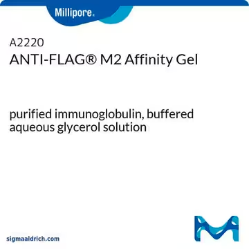 ANTI-FLAG® M2 Affinity Gel, 1 X 1 mL (A2220-1ML)