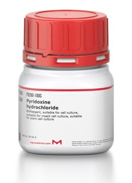 Pyridoxine hydrochloride, 1 X 100 g (P6280-100G)