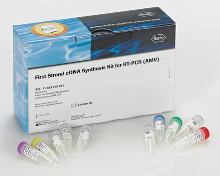 First Strand cDNA Synthesis Kit for RT-PCR (AMV), 30 reactions (11483188001)