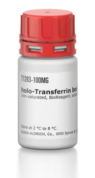 holo-Transferrin bovine, 1 X 50 mg (T1283-50MG)
