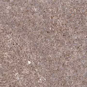 Anti-AIM2 antibody produced in rabbit, 1 X 100 µL (HPA031365-100UL)