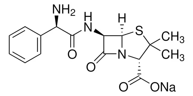 Ampicillin sodium salt, 1 X 100 g (A0166-100G)