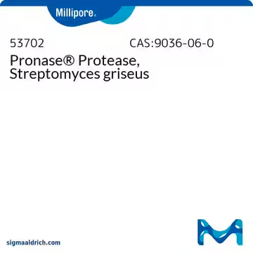 Pronase® Protease, Streptomyces griseus, 1 X 500 kU (53702-500KU)