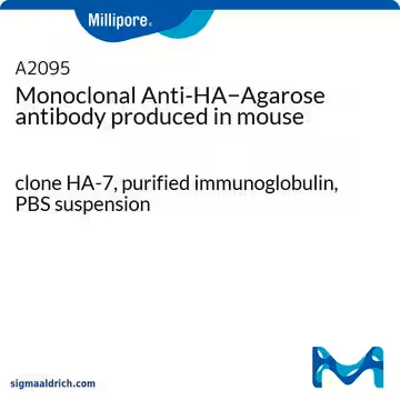 Monoclonal Anti-HA−Agarose antibody produced in mouse, 1 X 1 mL (A2095-1ML)