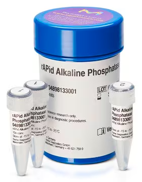 rAPid Alkaline Phosphatase, 1 X 5000 units (4898141001)